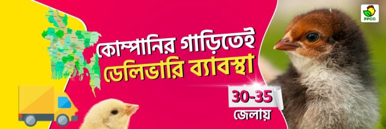 WhatsApp Image 2025-10-28 at 12.21.53_6446086d