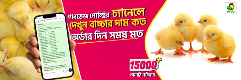 WhatsApp Image 2025-10-28 at 12.21.54_94fd465f