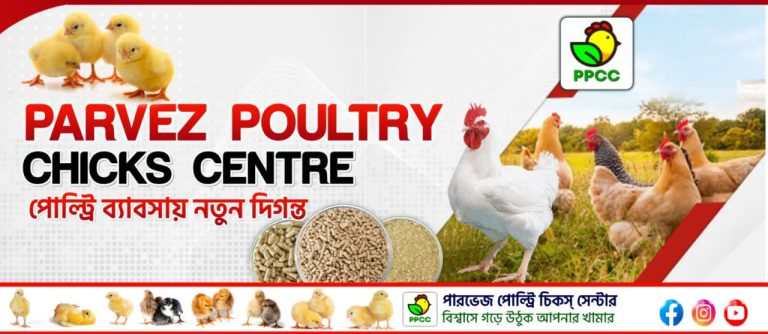 WhatsApp Image 2025-10-28 at 12.23.08_c88a05f7