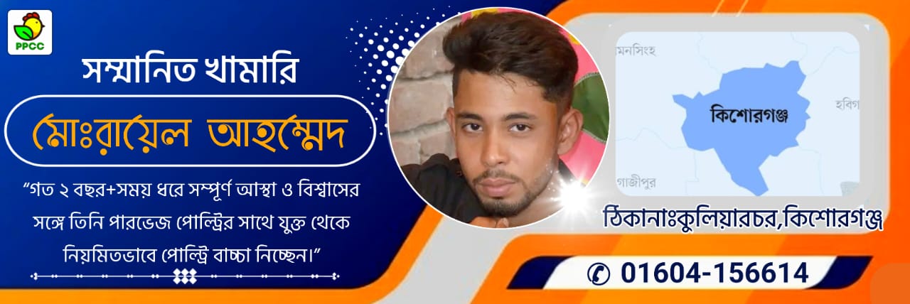 WhatsApp Image 2025-11-01 at 19.59.00_44778d2c